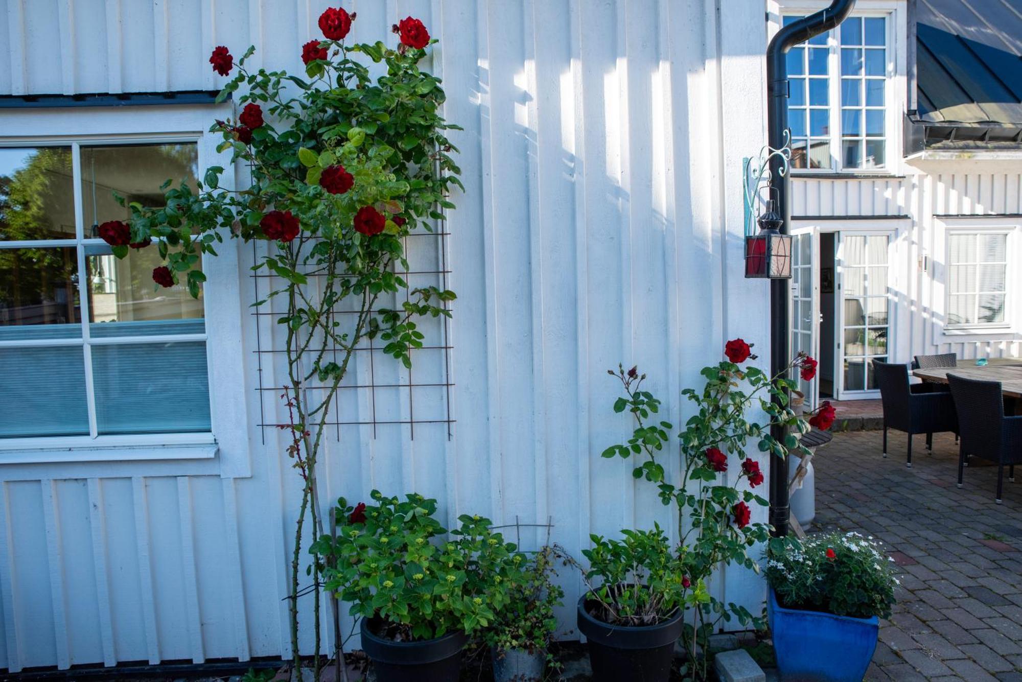 Guest House Tullgatan 24 Borgholm község Kültér fotó