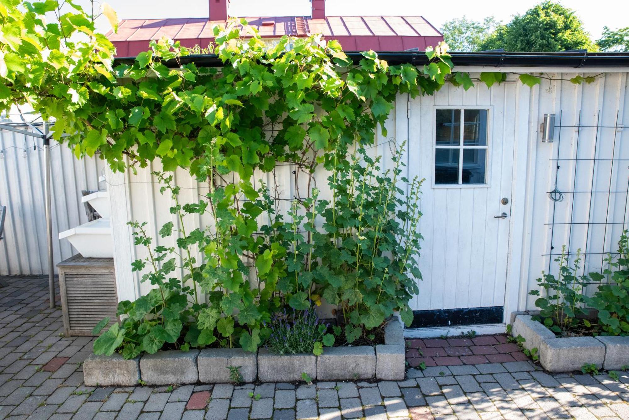 Guest House Tullgatan 24 Borgholm község Kültér fotó